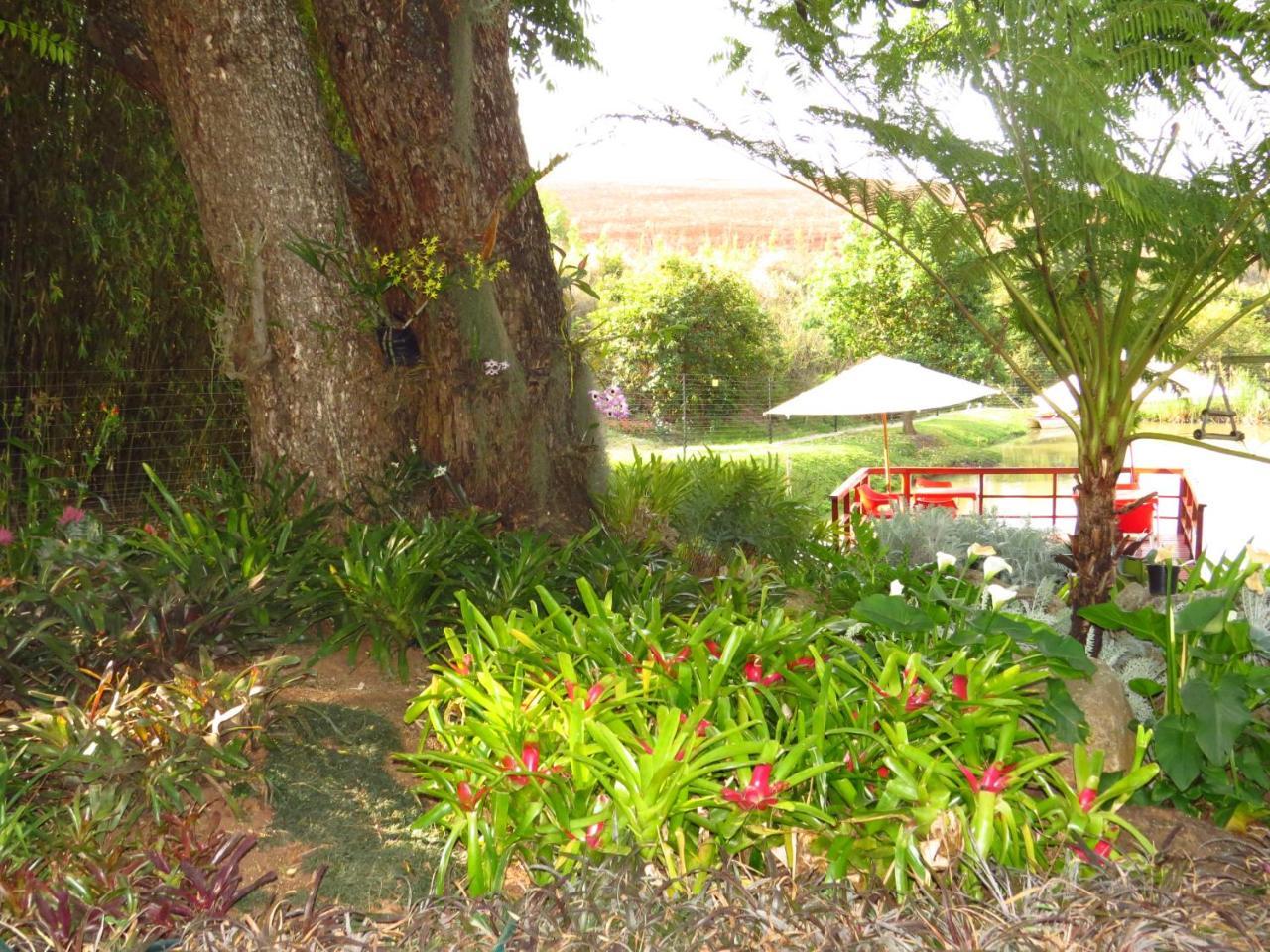 Eden Cottage White River Exterior photo